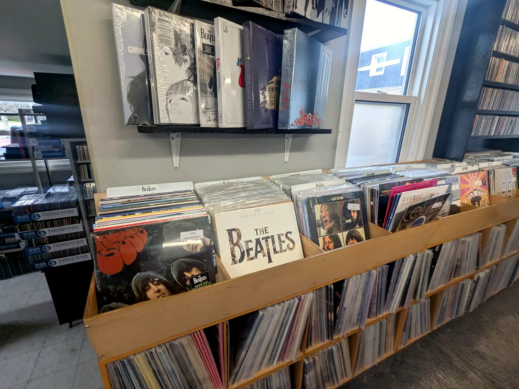 Records filed in the bins inside Speed City Records