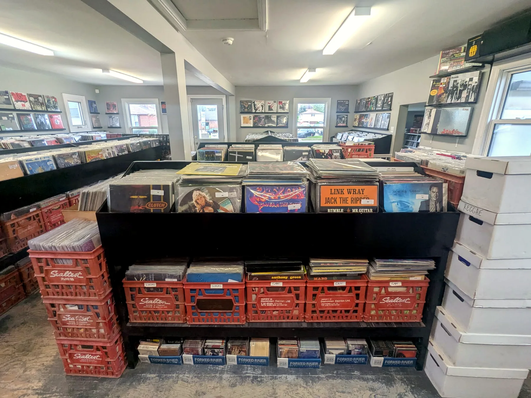 Records and CDs in red crates at Speed City Records