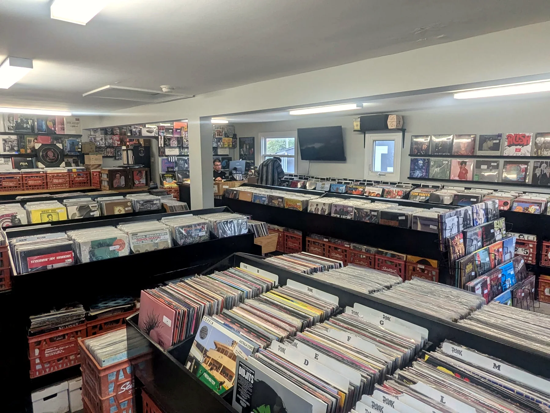 Wide view of record bins and collections at Speed City Records